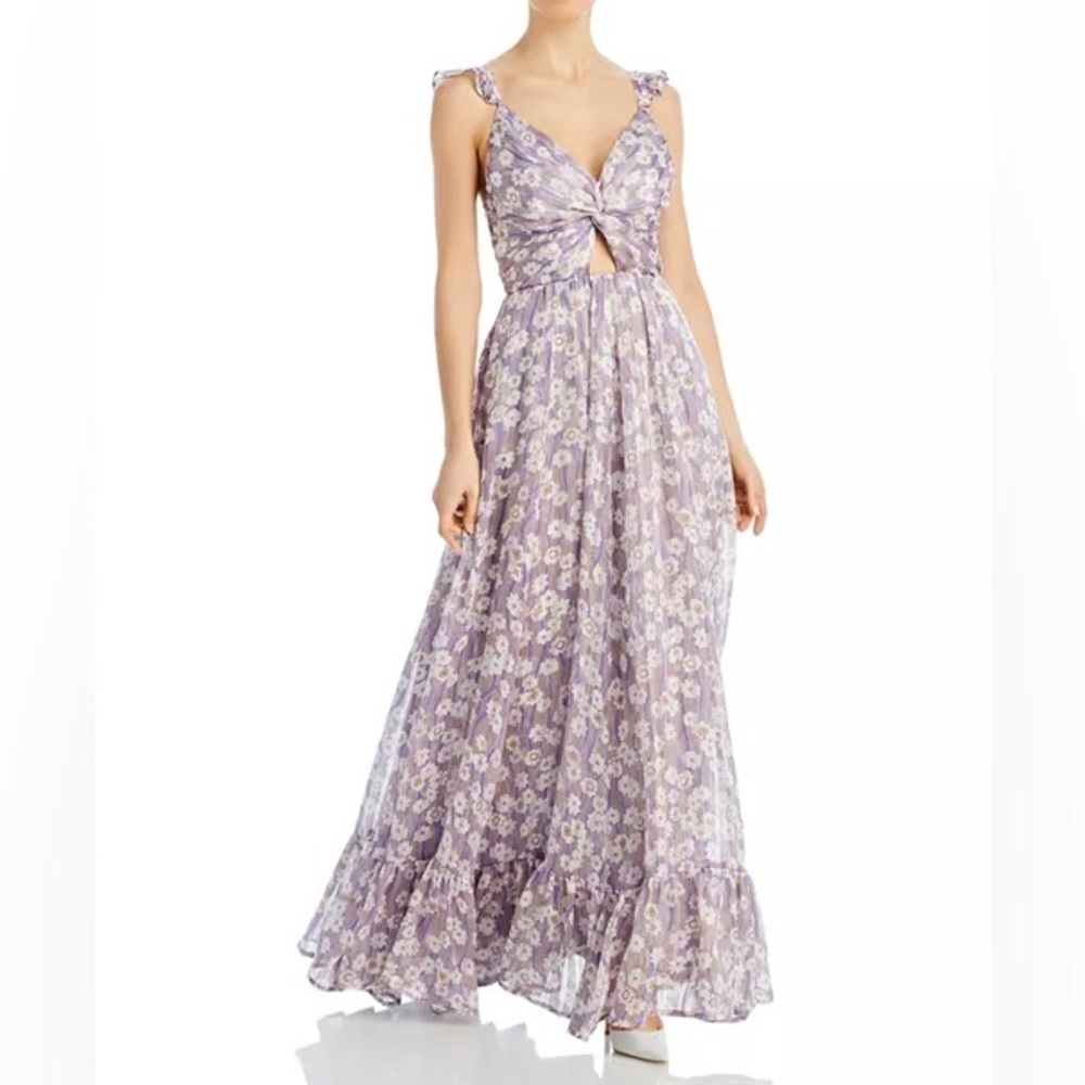 NWT SABINA MUSAYEV Printed Chiffon Maxi Dress Size XS